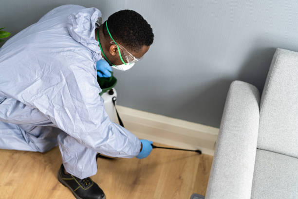 Best Residential Pest Control  in Rossmoor, NJ